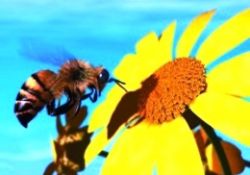 Bahar geldi, arılara dikkat!