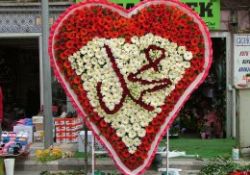 Kutlu Doğum Siirt'ten başlıyor