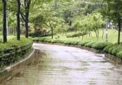 En şifalı yağmurlar Nisan'da yağıyor