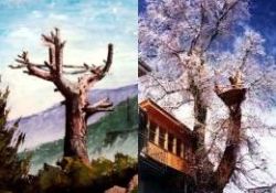 Yaz kardeşim diye başlayan, Risale-i Nur'un macerası-VİDEO