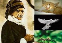 Bediüzzaman ve hayvanlar alemi-ÖZEL