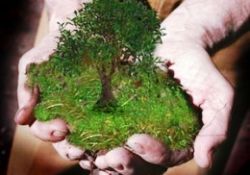 İktisat cimrilik değil izzet ve cömertliktir