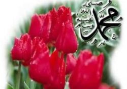 Peygamberimiz'in uzak durduğu 3 şey