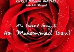 Kutlu Doğum Haftası için 6 tavsiye