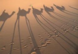 Asr-ı Saadet yıldızlarından sizin rol modeliniz kim?