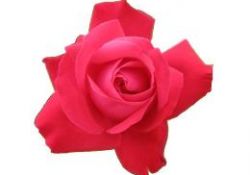 Konuşan delilin (asm) şahs-ı mânevîsine bak