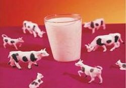 Süt ayeti ve süt mucizesi