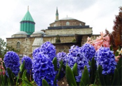 Mevlanâ yolunda 1,5 milyon adım attılar