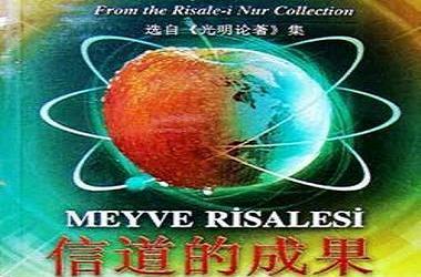 Çinlilerden Çince Risale-i Nur