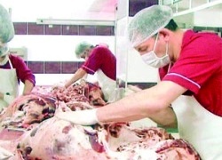 Gıdalardaki en büyük sorun jelatin ve alkol