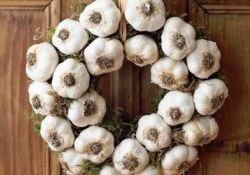 Kolestrolü düşürüp, bağışıklığı güçlendiriyor