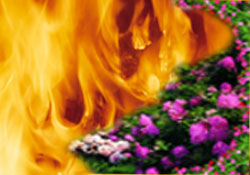 Eyvah! Aile hayatı bozulmaya başlamış