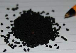 Çörekotu, bağışıklığı güçlendiriyor