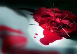 Sosyal hayatı zehirleyen düşmanlık