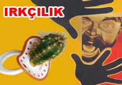 Toplumsal ırkçılığın diğer adı