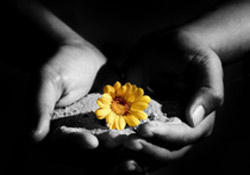 Annelerin yüksek kahramanlığı