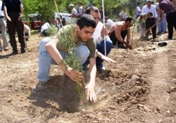 Önce fidan dikip sonra evleniyorlar