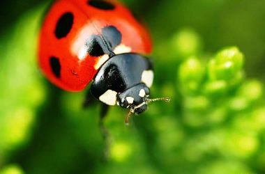 En çok paylaşılan fotoğraflar
