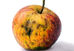 Gençlere verilen hastalık bir ihsanı ilahidir