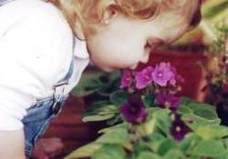 Kirli havayı bitkilerle temizleyebilirsiniz