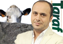 Atatürk büstü kıran ineğe mektup!