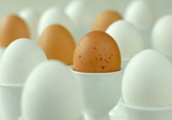 Kış hastalıklarından korunmak için...