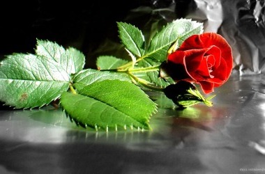 Din kardeşini ayıblayan bir kimse