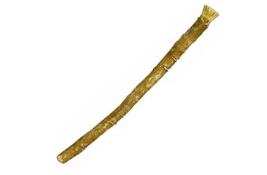 Misvak nasıl hayat kurtarır?