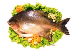 Balığı iftar sofralarında ihmal etmeyin