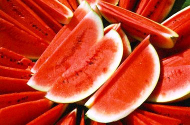 Çamur yiyen karpuz ve sonuç