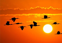 Vazife yaz tembelliğine yenilmesin