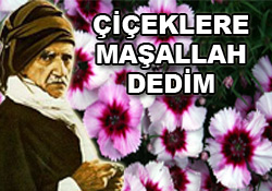 Çiçeklere Maşallah dedim