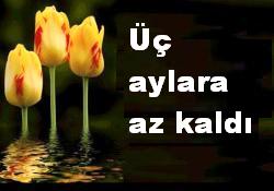 Üç aylara az kaldı