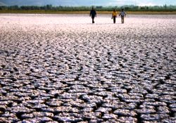 Susuzluk göç ettirdi