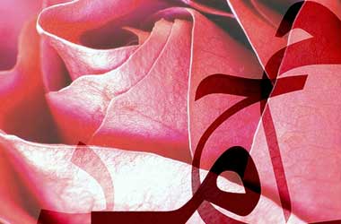 Nerede olursan ol Allah’tan kork!