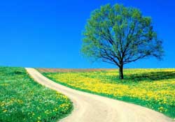 Kıyametin dünyadaki örnekleri