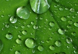 Yağmur damlalarındaki hikmetler