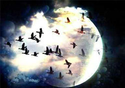 Üç aylar başladı