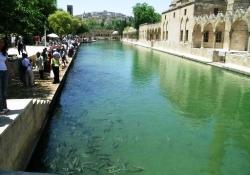 Dünya Kültür Sergisi Şanlıurfa’da açıldı