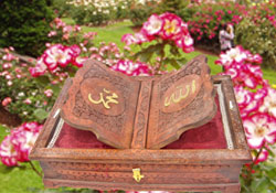 Mevlidin okunması adet-i İslamiyedir