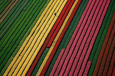 Dünyaya yakın çekim