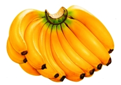 Günde 6 tane yemeniz yeterli