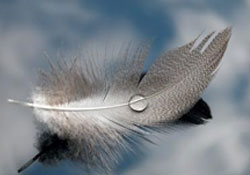 Aczini bilmekte rahmet vardır