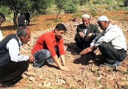 Isparta'da 6 çeşit soğanlı bitki yetiştirilerek orman köylüsüne ek gelir temin edilecek