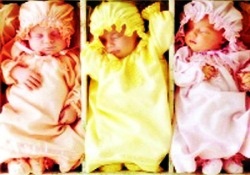 Almanya'da tek yumurta üçüzü doğdu