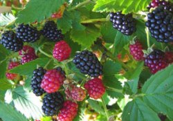 Kışa şimdiden hazırlanmak için...