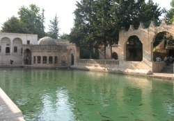 Şanlıurfa, 15 marka şehir içinde yer alıyor