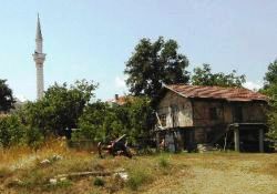 Dünya yeniden fıtrata yöneliyor