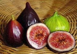 Hücreleri yenileyen müthiş meyve!