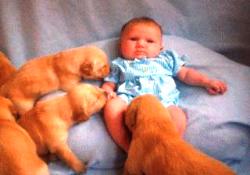 Bebekler, köpekleri anlayabiliyormuş